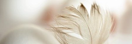 Maya wijsheid Paaswebinar